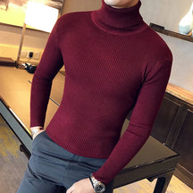 Pull Homme Sampaio® S1243