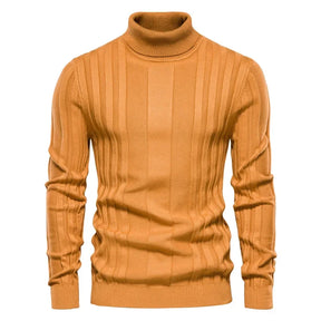 Pull Homme à Col Montant Sampaio Atalan®