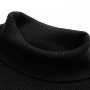Pull Homme à Col Montant Sampaio® S1314
